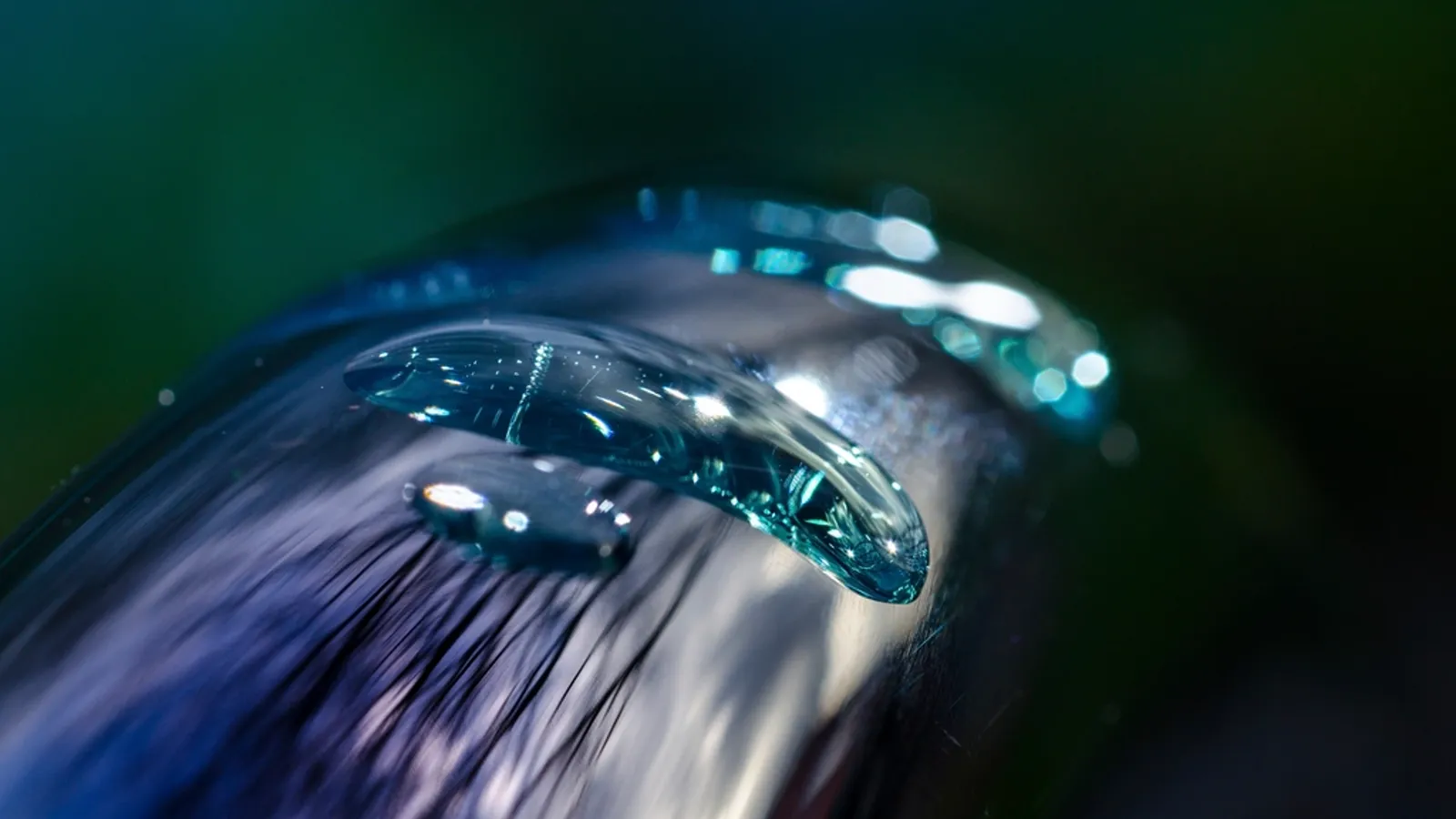 Drain Cleaning